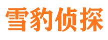 五通桥寻人公司